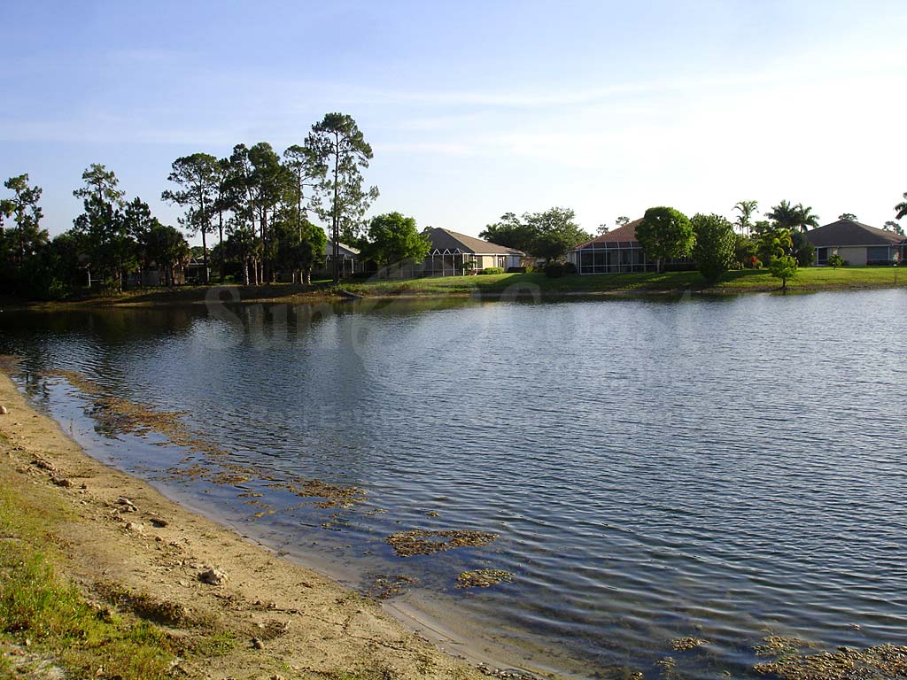 Single Family Homes The Shores View of Lake